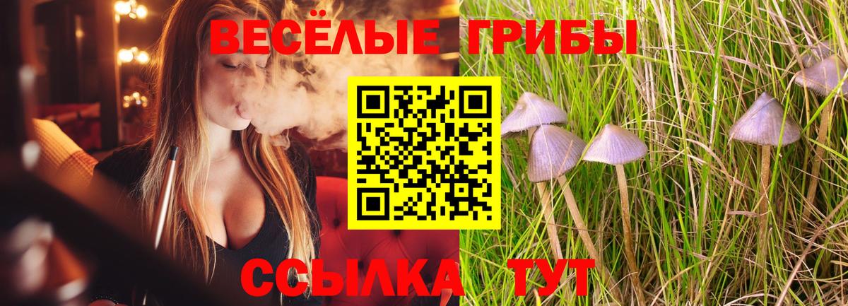 Псилоцибиновые грибы прущие грибы  Вход с VPN  Галлюциногенные грибы Psilocybe  Егорьевск 