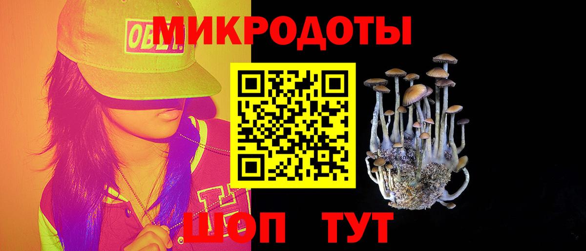 Галлюциногенные грибы Cubensis Егорьевск